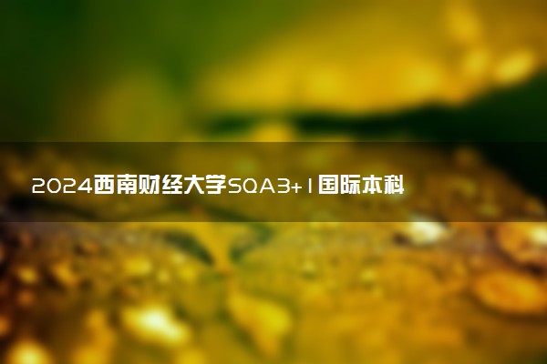 2024西南财经大学SQA3+1国际本科招生专业