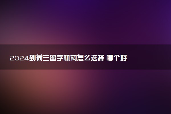 2024到荷兰留学机构怎么选择 哪个好