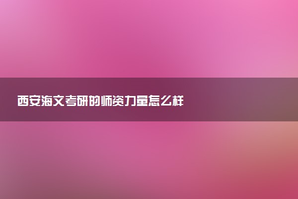 西安海文考研的师资力量怎么样