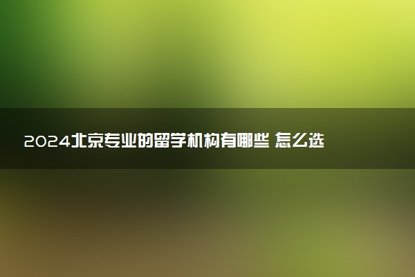 2024北京专业的留学机构有哪些 怎么选择
