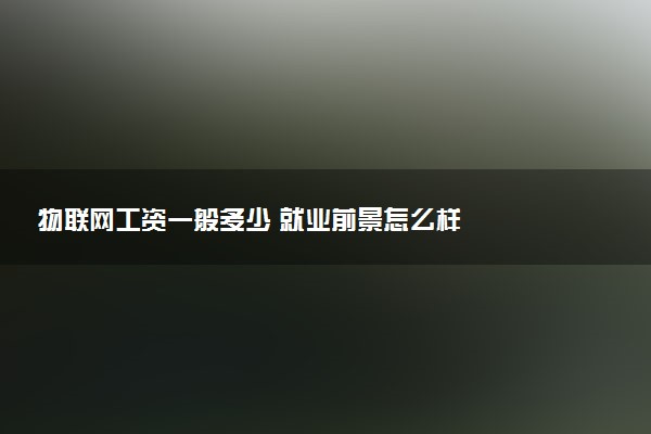 物联网工资一般多少 就业前景怎么样