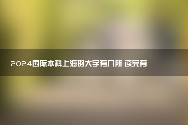 2024国际本科上海的大学有几所 读完有什么用