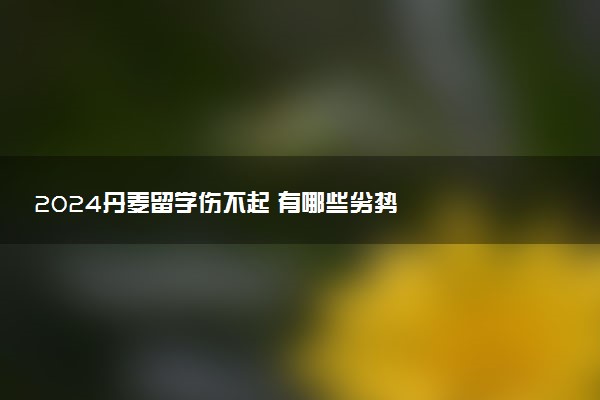 2024丹麦留学伤不起 有哪些劣势