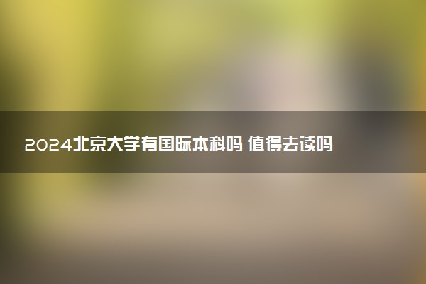 2024北京大学有国际本科吗 值得去读吗