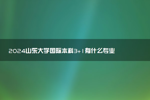 2024山东大学国际本科3+1有什么专业 值得去读吗