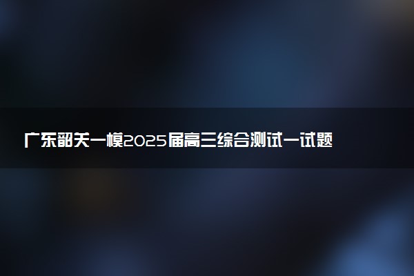 广东韶关一模2025届高三综合测试一试题及答案汇总