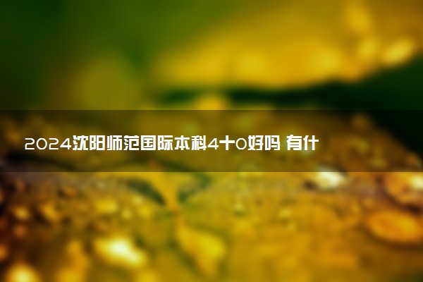 2024沈阳师范国际本科4十0好吗 有什么优势