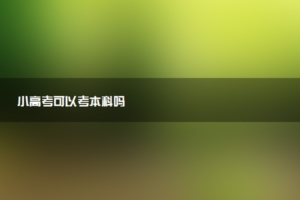 小高考可以考本科吗