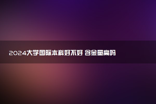 2024大学国际本科好不好 含金量高吗