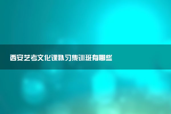 西安艺考文化课补习集训班有哪些