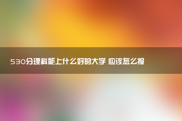 530分理科能上什么好的大学 应该怎么报志愿