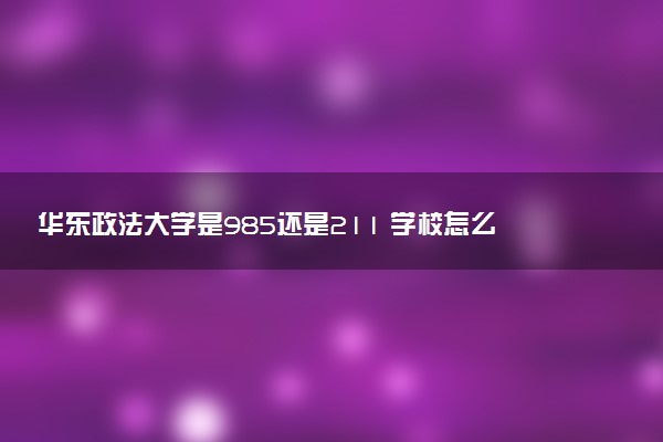 华东政法大学是985还是211 学校怎么样