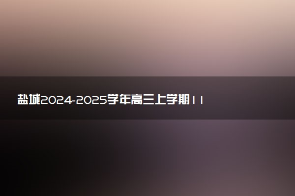盐城2024-2025学年高三上学期11月期中试题及答案汇总