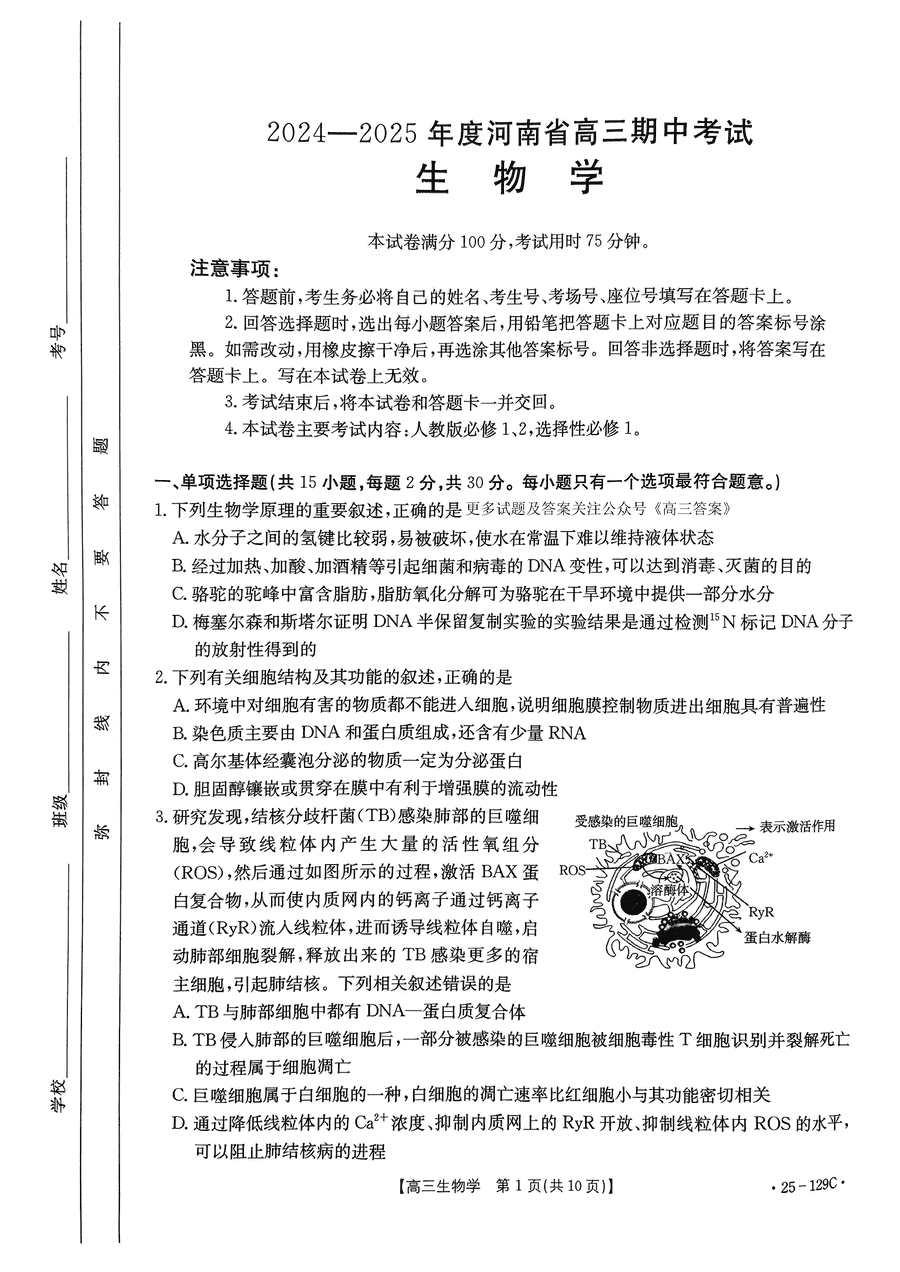 河南省金太阳2025届高三11月期中生物试题及答案