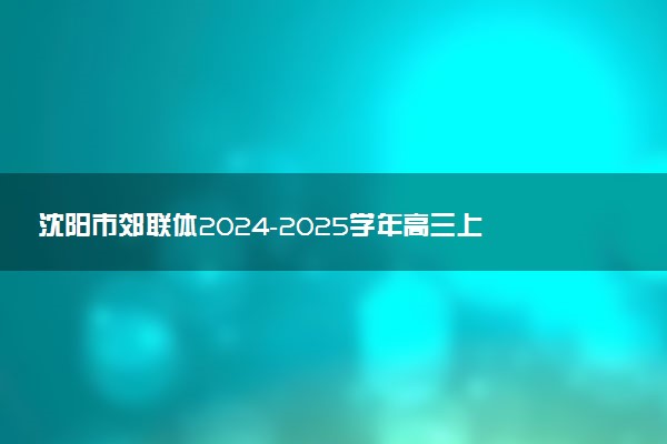 沈阳市郊联体2024-2025学年高三上学期11月期中试题及答案汇总