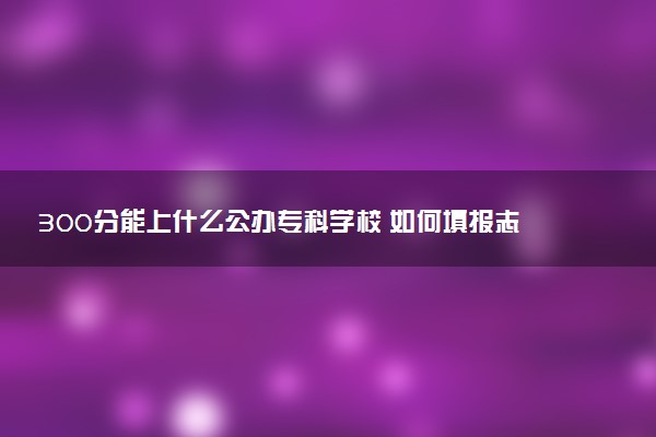 300分能上什么公办专科学校 如何填报志愿