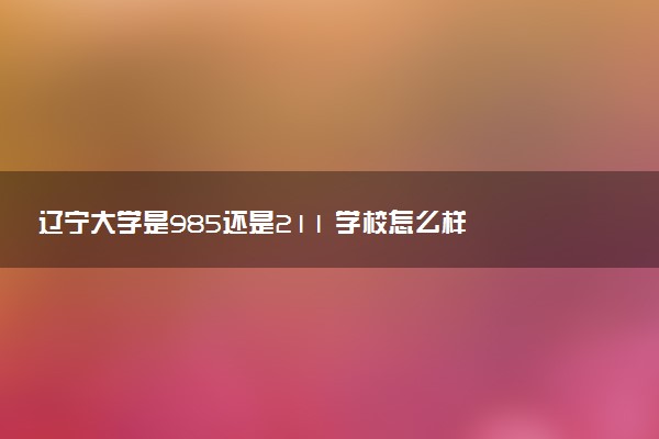 辽宁大学是985还是211 学校怎么样