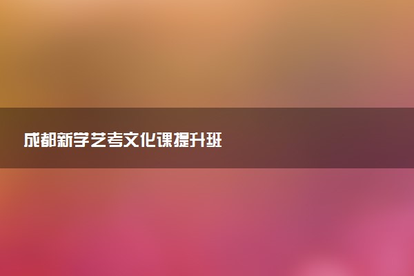 成都新学艺考文化课提升班