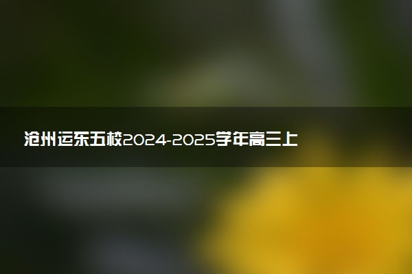 沧州运东五校2024-2025学年高三上学期11月期中试题及答案汇总