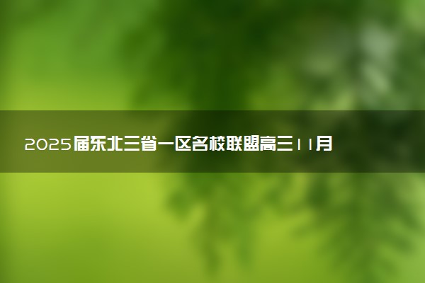 2025届东北三省一区名校联盟高三11月第一次质检试题及答案汇总