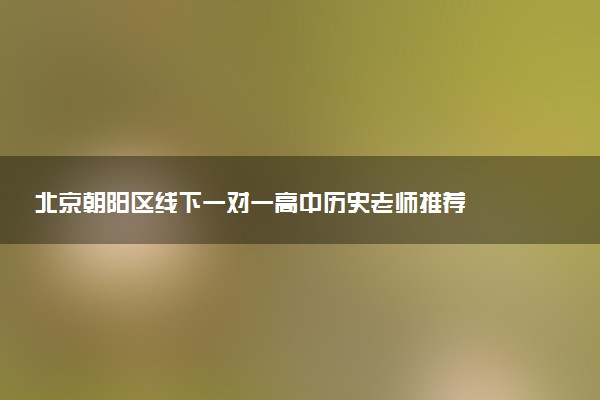北京朝阳区线下一对一高中历史老师推荐