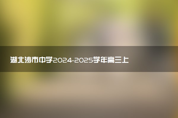 湖北沙市中学2024-2025学年高三上学期11月月考试题及答案汇总