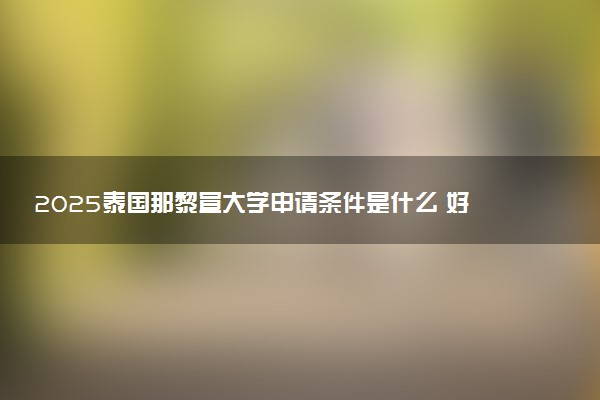 2025泰国那黎宣大学申请条件是什么 好考吗