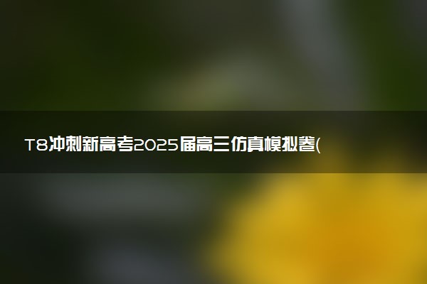 T8冲刺新高考2025届高三仿真模拟卷（三）试题及答案汇总