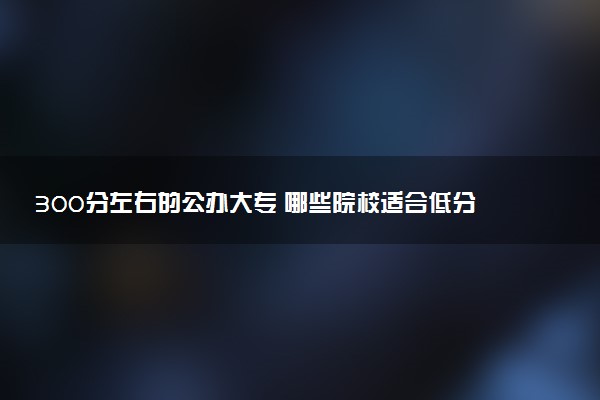 300分左右的公办大专 哪些院校适合低分报考