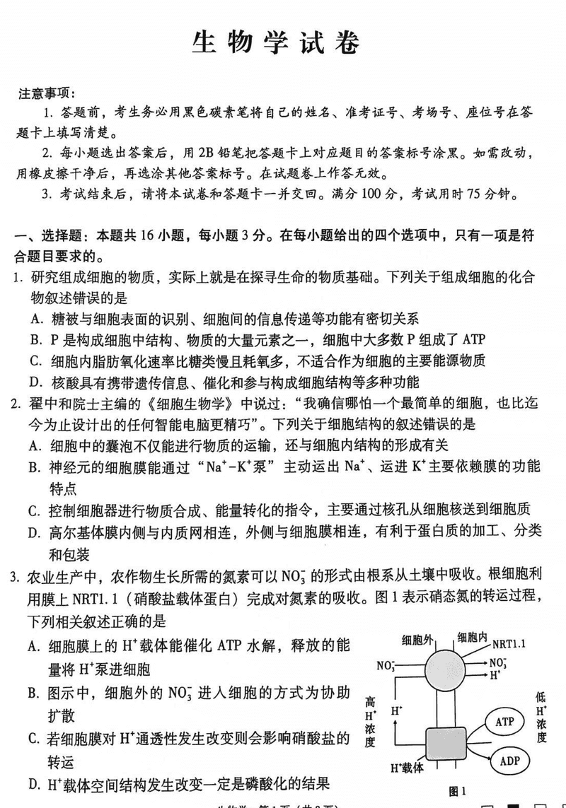云南师大附中2025届高三12月适应性月考卷（七）生物试题及答案