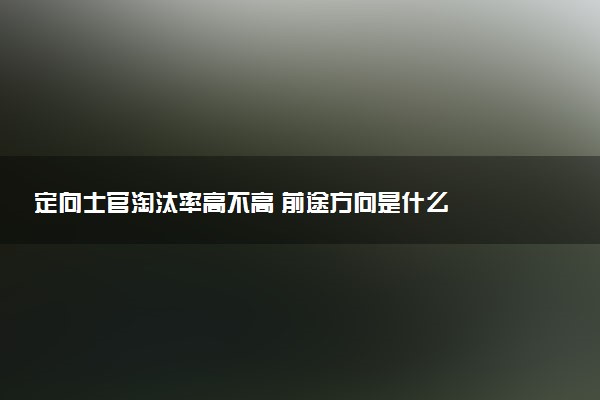 定向士官淘汰率高不高 前途方向是什么