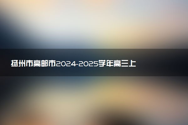 扬州市高邮市2024-2025学年高三上学期12月月考试题及答案汇总