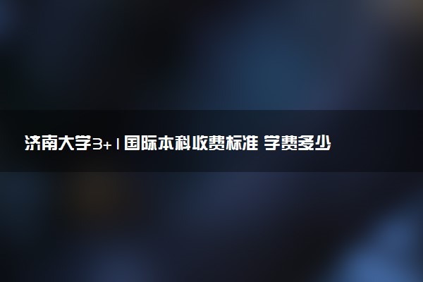 济南大学3+1国际本科收费标准 学费多少钱