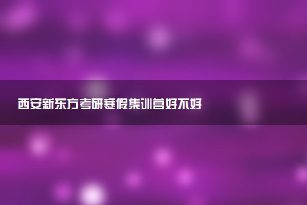 西安新东方考研寒假集训营好不好