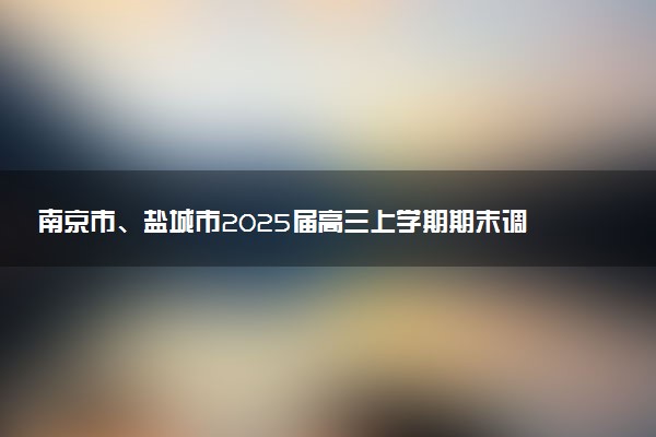 南京市、盐城市2025届高三上学期期末调研测试试题及答案汇总