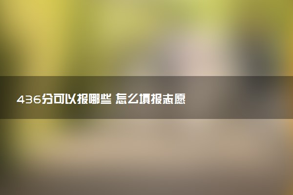 436分可以报哪些 怎么填报志愿