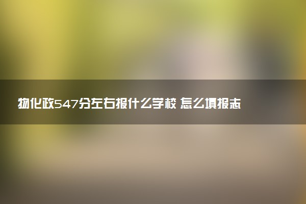 物化政547分左右报什么学校 怎么填报志愿