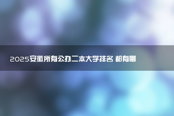 2025安徽所有公办二本大学排名 都有哪些二本院校