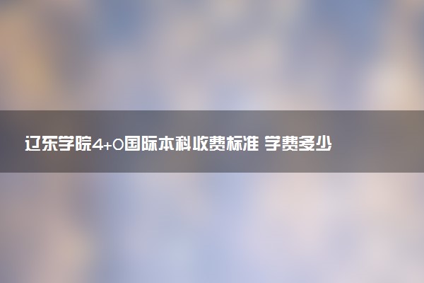 辽东学院4+0国际本科收费标准 学费多少钱