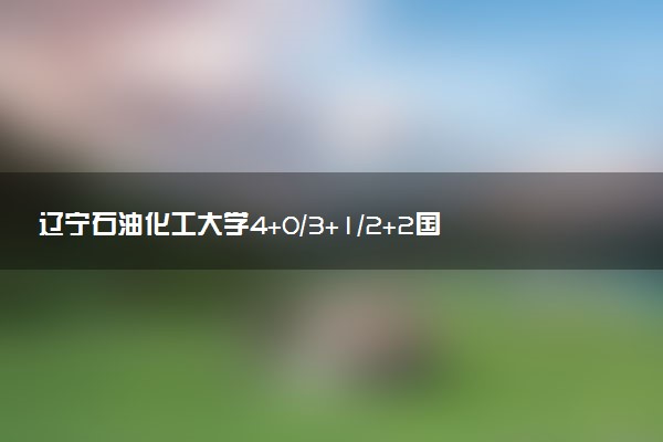 辽宁石油化工大学4+0/3+1/2+2国际本科学费（2025参考）