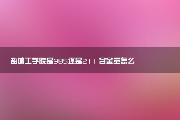 盐城工学院是985还是211 含金量怎么样