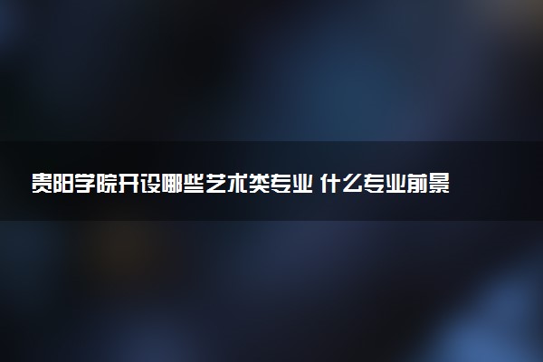 贵阳学院开设哪些艺术类专业 什么专业前景好
