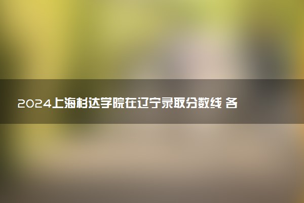 2024上海杉达学院在辽宁录取分数线 各专业分数及位次