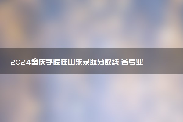 2024肇庆学院在山东录取分数线 各专业分数及位次