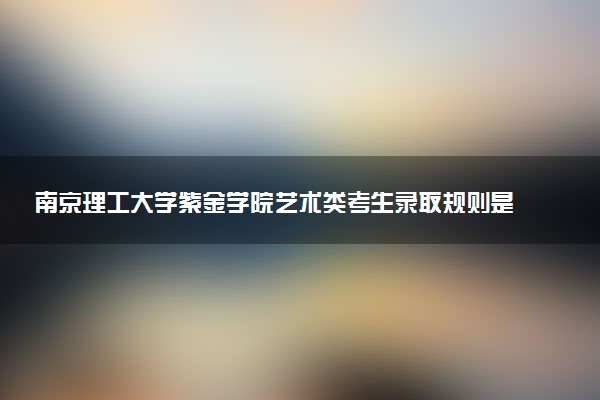 南京理工大学紫金学院艺术类考生录取规则是怎样的 有哪些要求