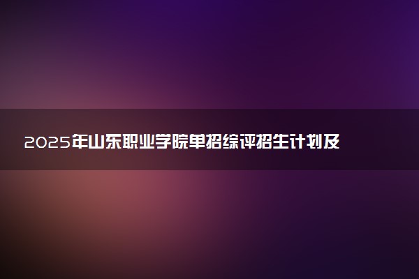 2025年山东职业学院单招综评招生计划及专业