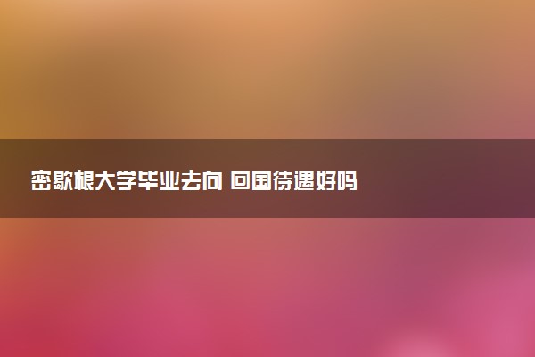 密歇根大学毕业去向 回国待遇好吗