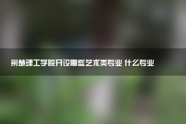荆楚理工学院开设哪些艺术类专业 什么专业前景好