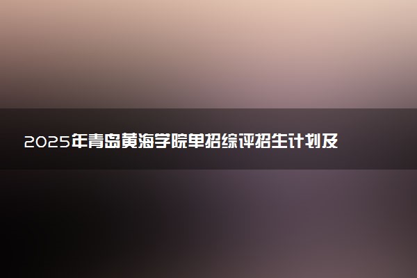 2025年青岛黄海学院单招综评招生计划及专业