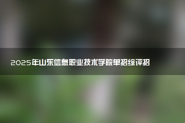 2025年山东信息职业技术学院单招综评招生计划及专业
